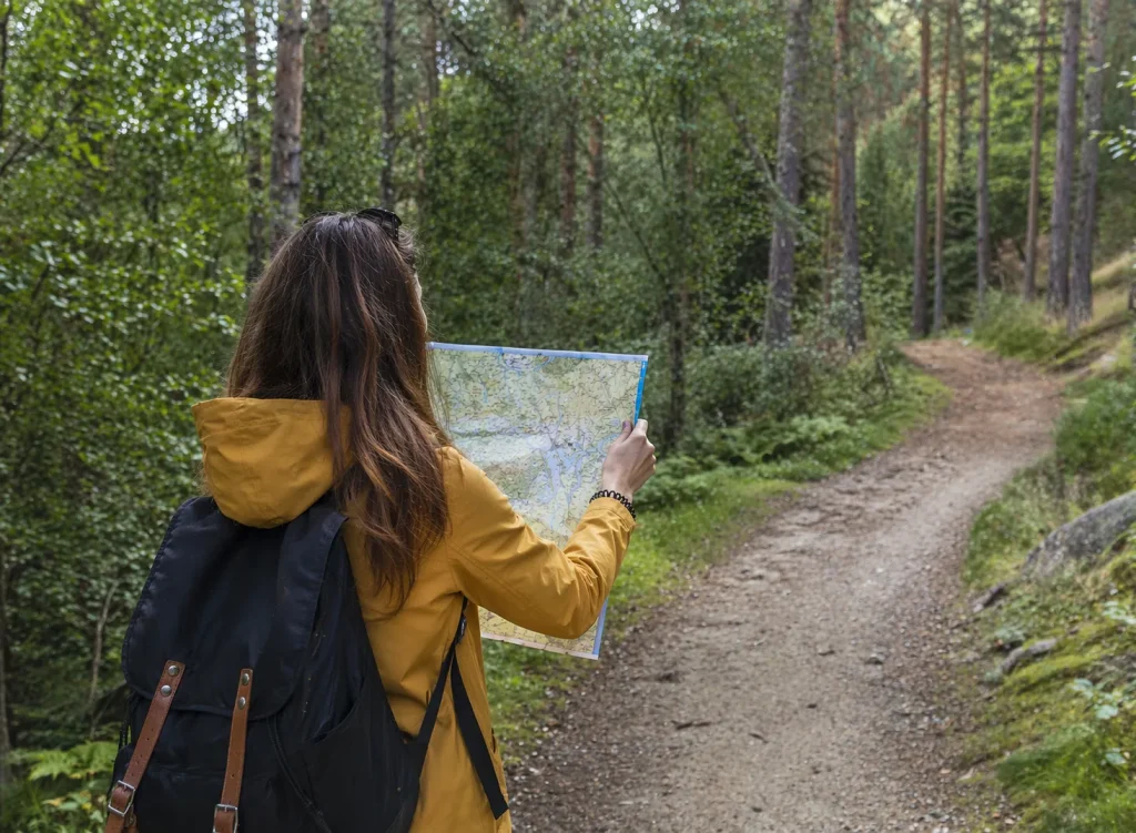 camino principio resultado
